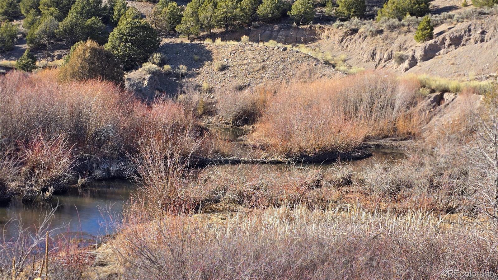 Lot 7542 Indian Creek Road Fort Garland CO 81133