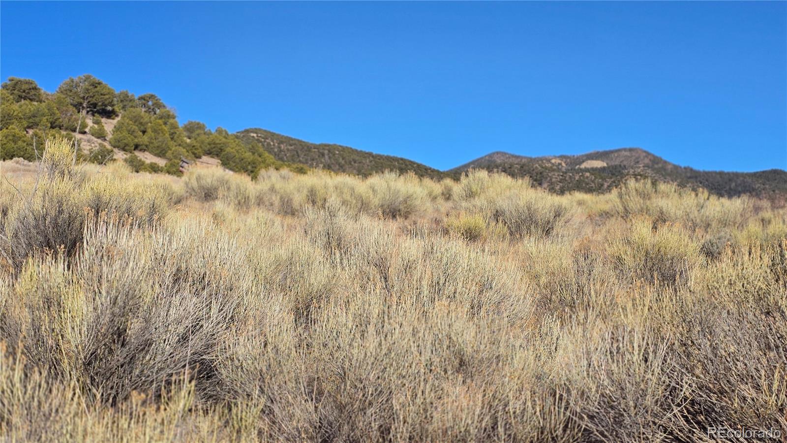 Lot 7542 Indian Creek Road Fort Garland CO 81133