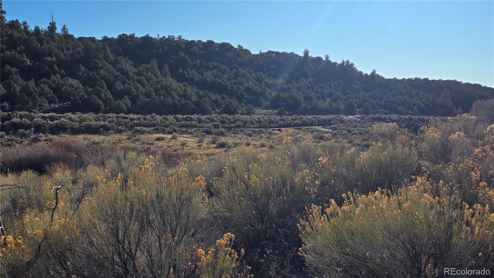 Lot 7542 Indian Creek Road Fort Garland CO 81133