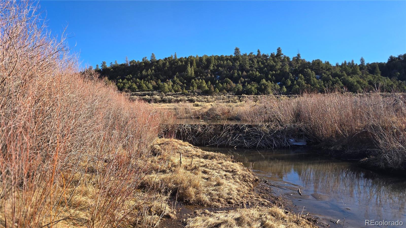Lot 7542 Indian Creek Road Fort Garland CO 81133