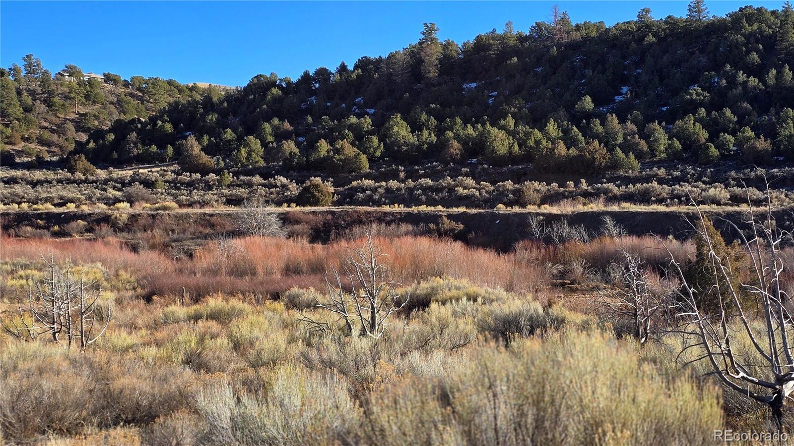 Lot 7542 Indian Creek Road Fort Garland CO 81133
