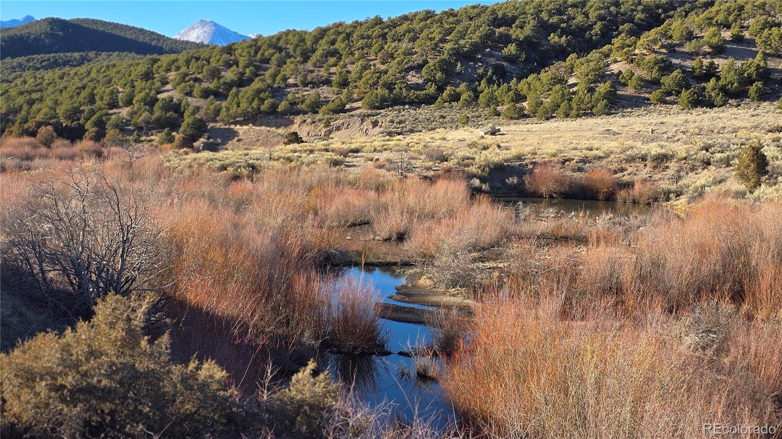 Lot 7542 Indian Creek Road Fort Garland CO 81133