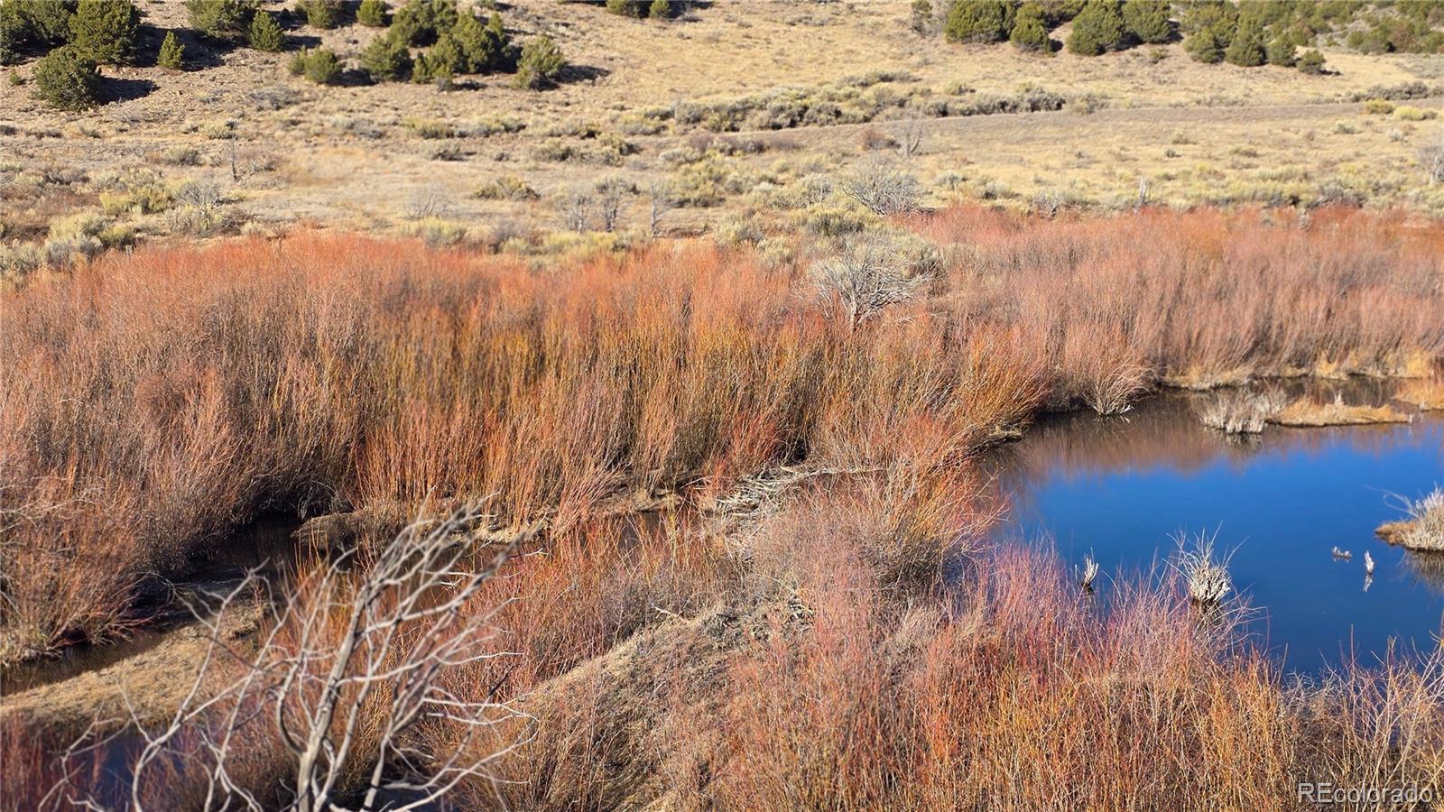 Lot 7542 Indian Creek Road Fort Garland CO 81133