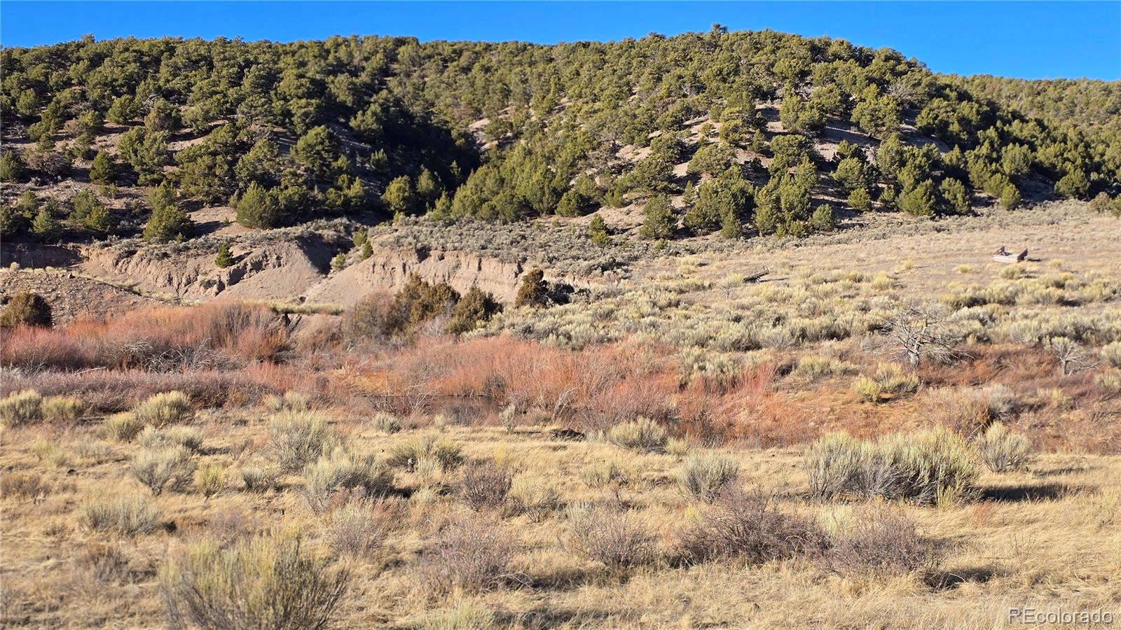 Lot 7542 Indian Creek Road Fort Garland CO 81133