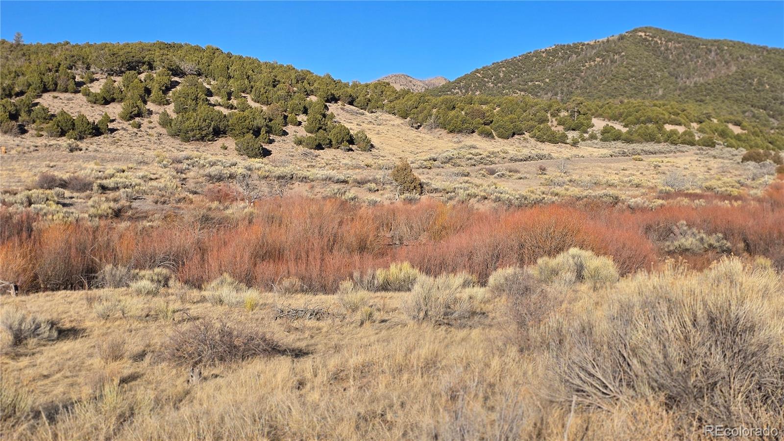 Lot 7542 Indian Creek Road Fort Garland CO 81133