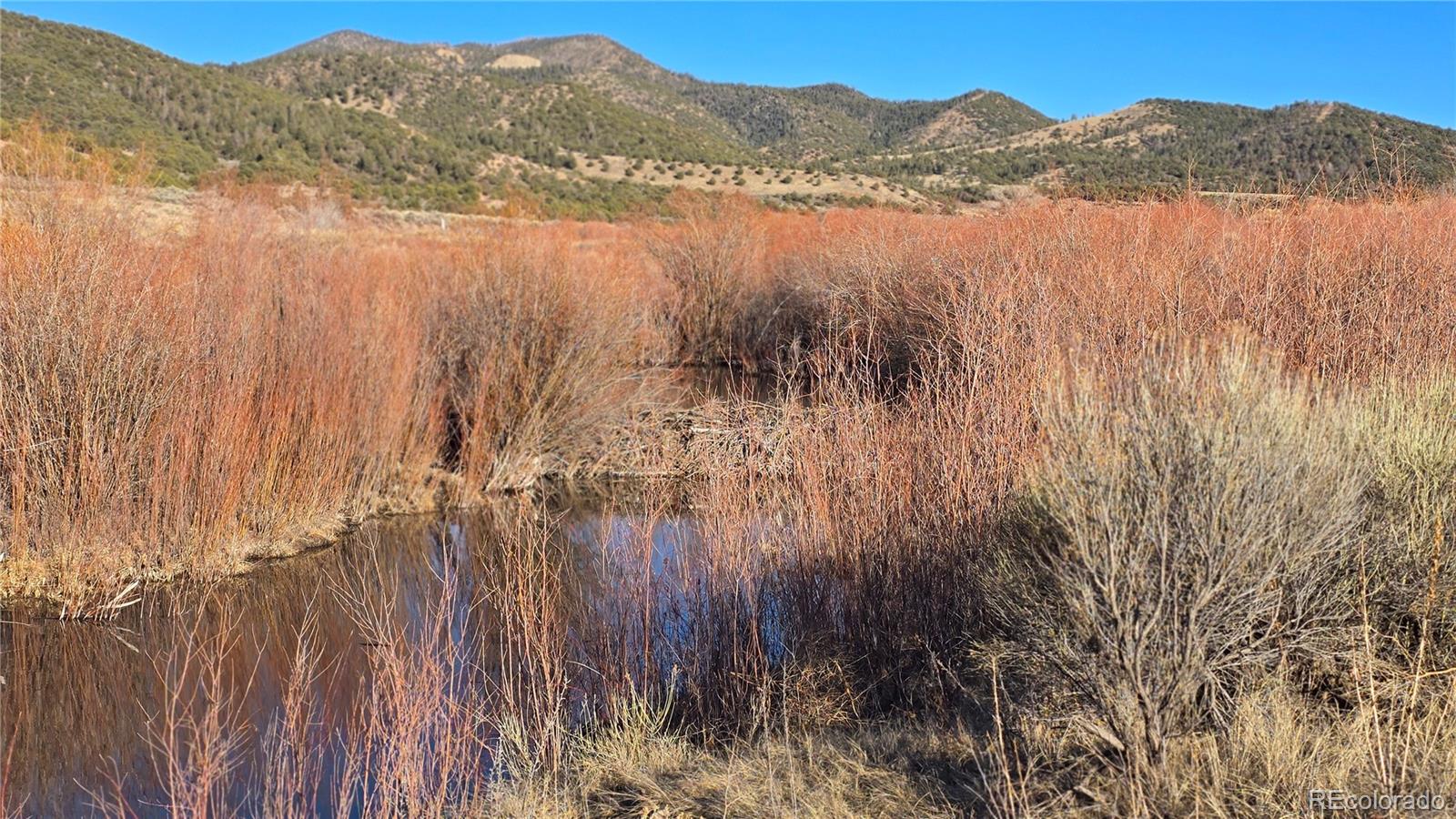 Lot 7542 Indian Creek Road Fort Garland CO 81133
