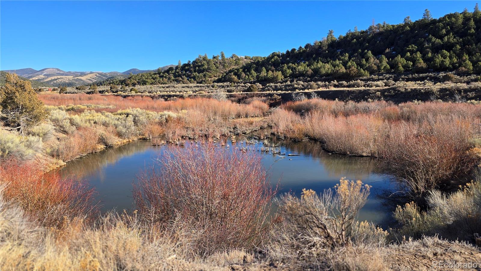 Lot 7542 Indian Creek Road Fort Garland CO 81133