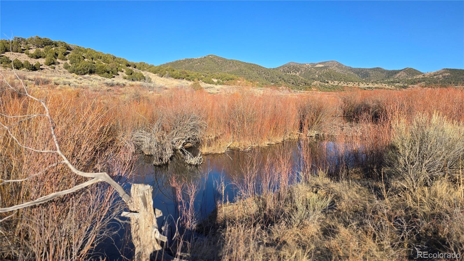 Lot 7542 Indian Creek Road Fort Garland CO 81133