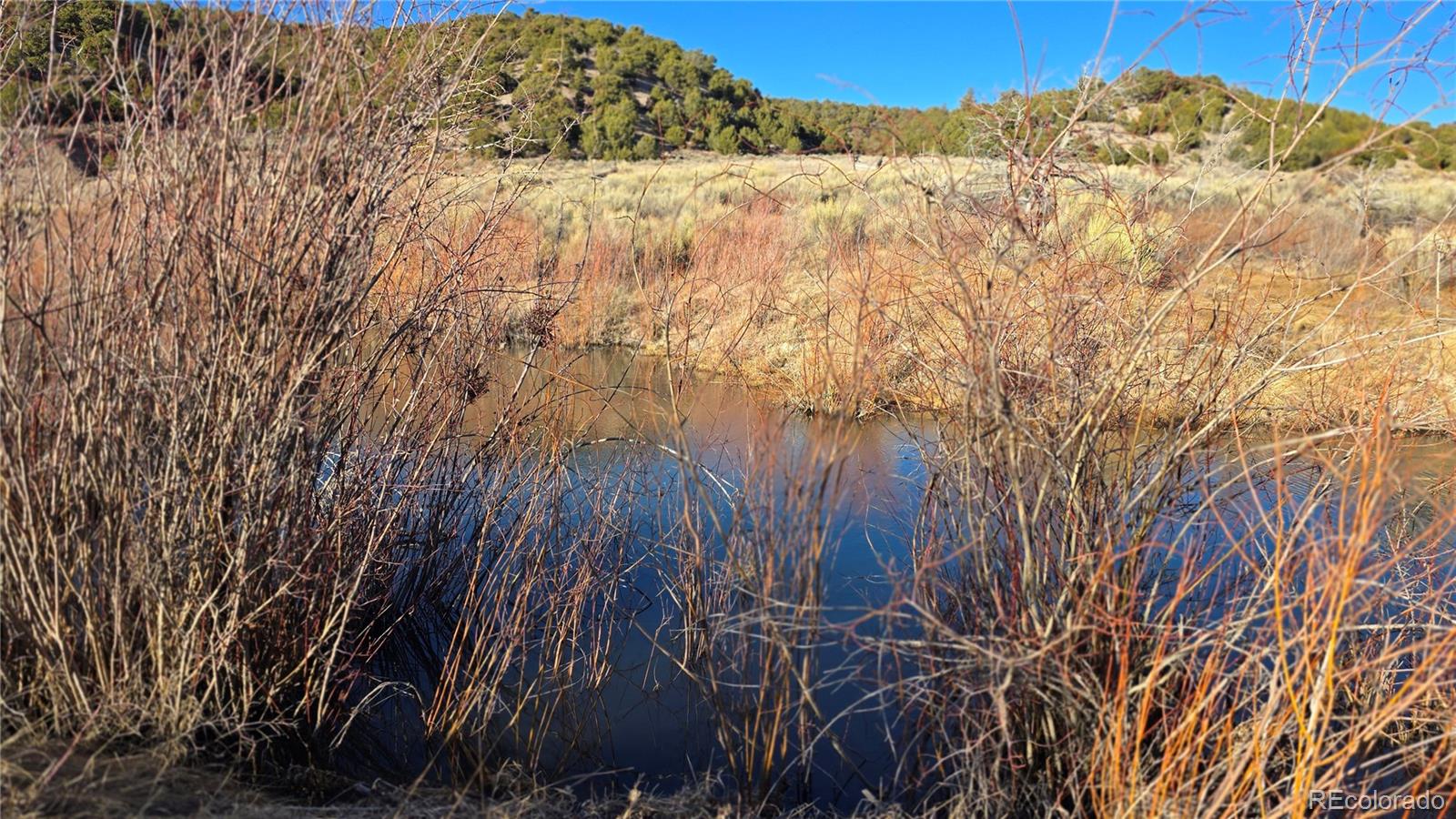 Lot 7542 Indian Creek Road Fort Garland CO 81133