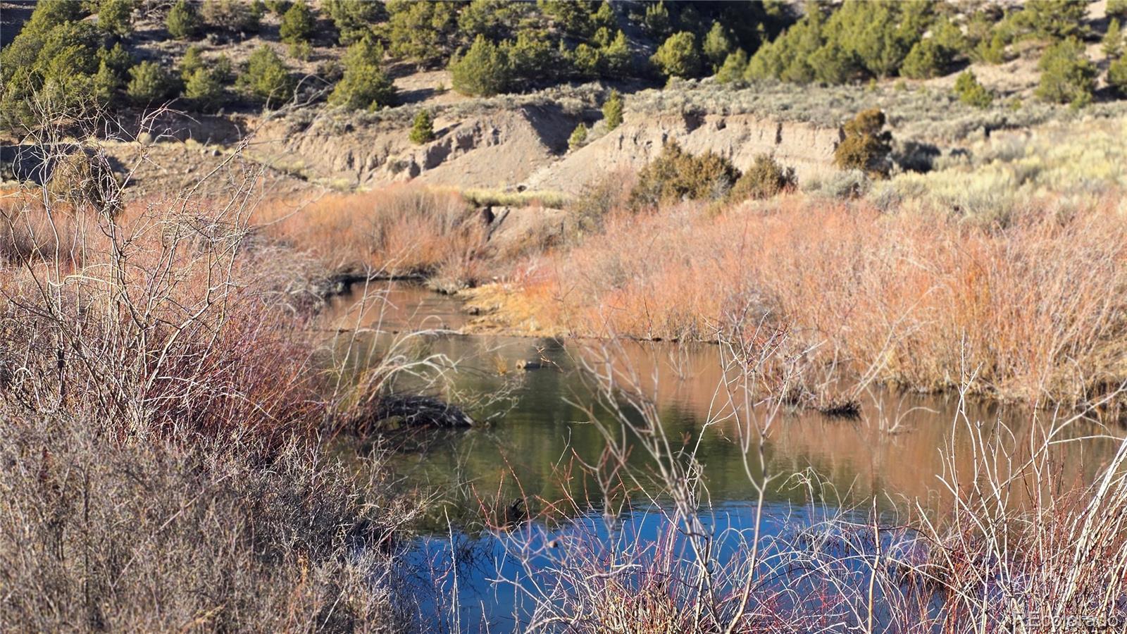 Lot 7542 Indian Creek Road Fort Garland CO 81133
