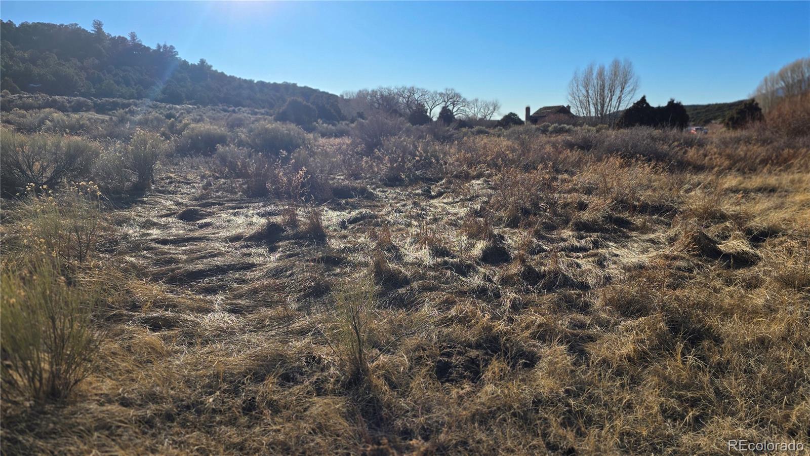 Lot 7542 Indian Creek Road Fort Garland CO 81133