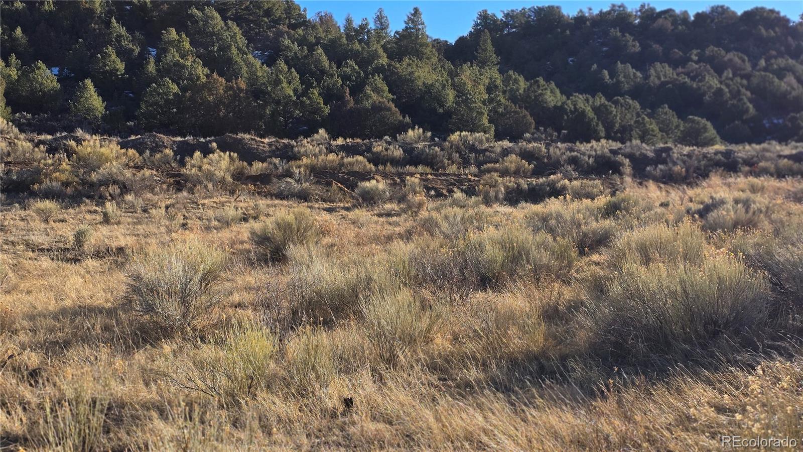 Lot 7542 Indian Creek Road Fort Garland CO 81133