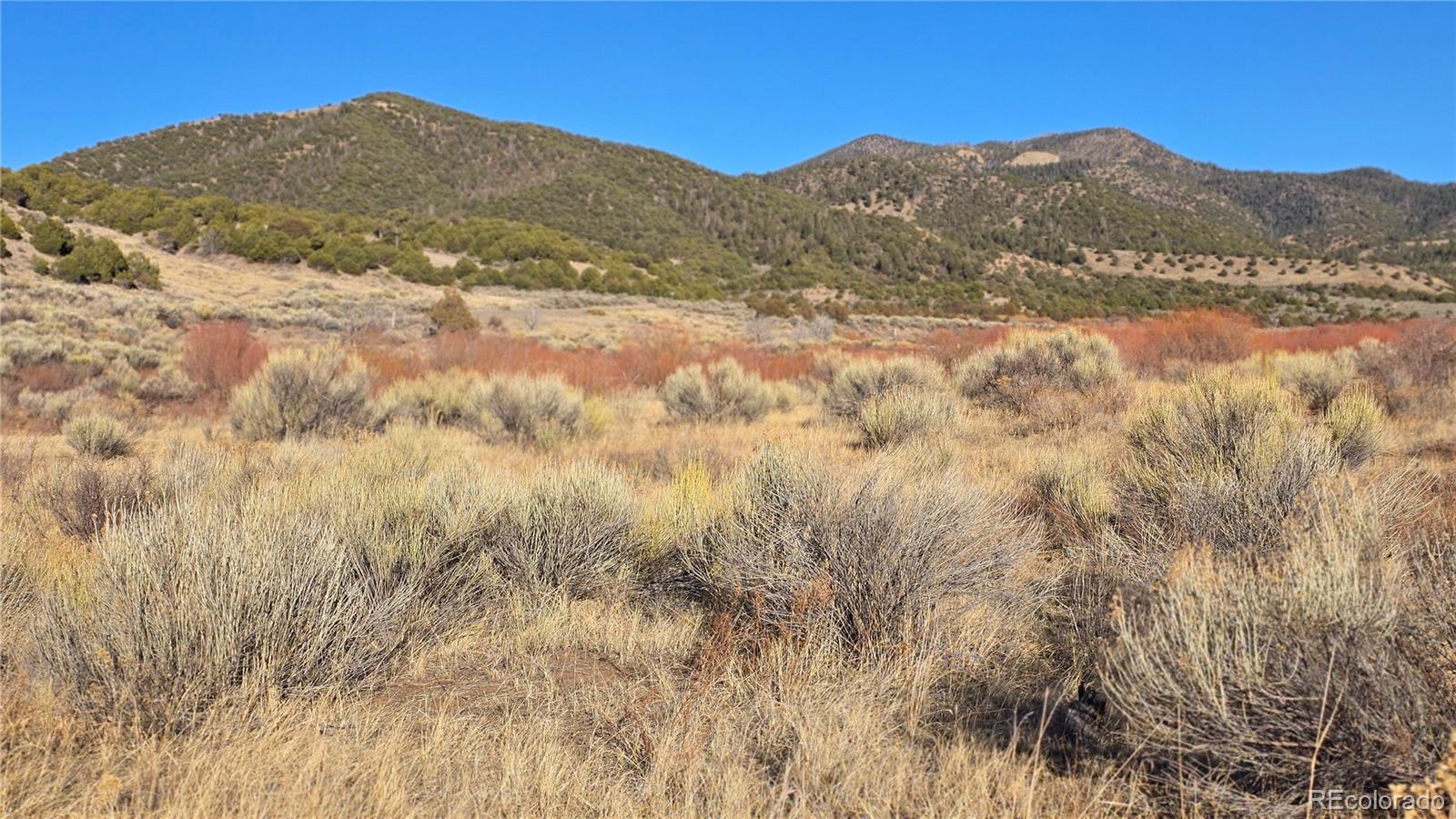 Lot 7542 Indian Creek Road Fort Garland CO 81133