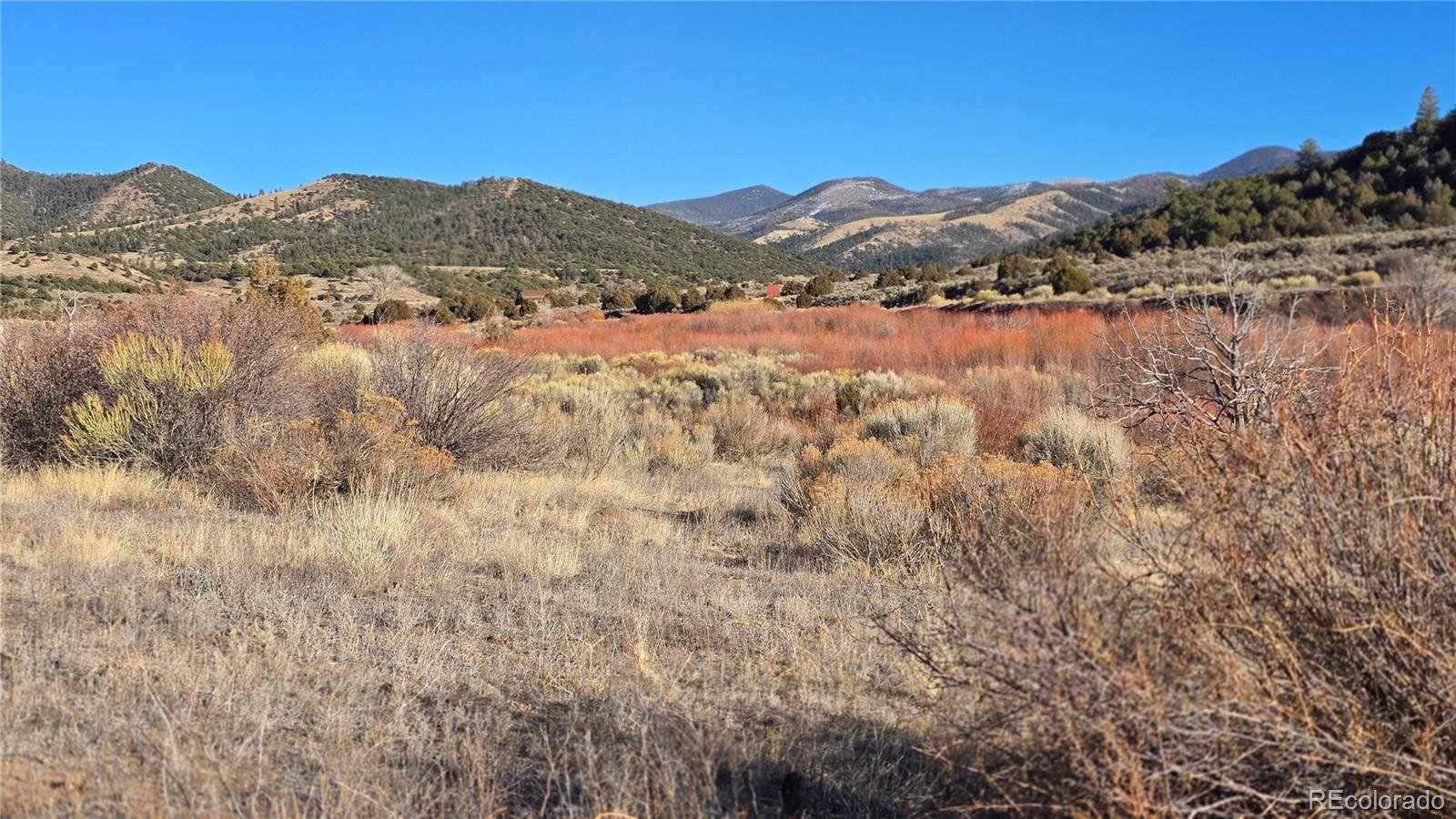 Lot 7542 Indian Creek Road Fort Garland CO 81133