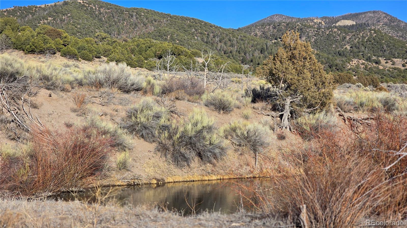 Lot 7542 Indian Creek Road Fort Garland CO 81133