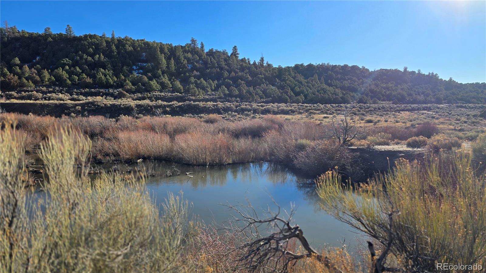Lot 7542 Indian Creek Road Fort Garland CO 81133
