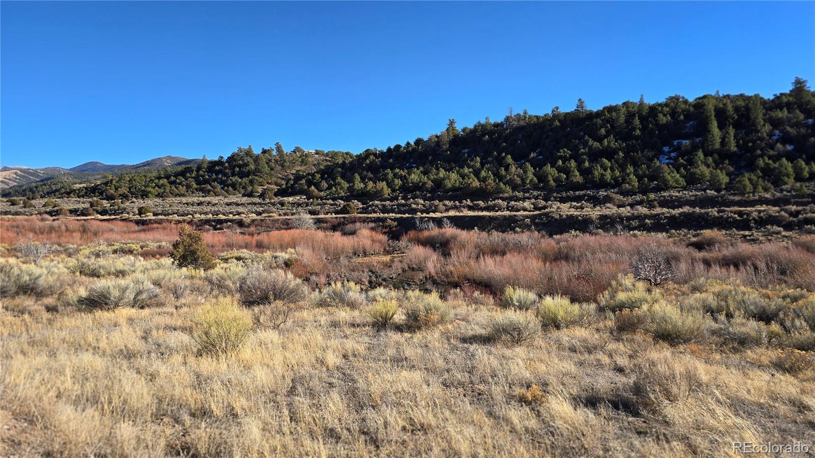 Lot 7542 Indian Creek Road Fort Garland CO 81133