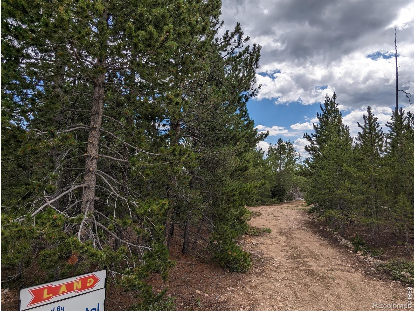 90 Quapaw Court Red Feather Lakes CO 80545