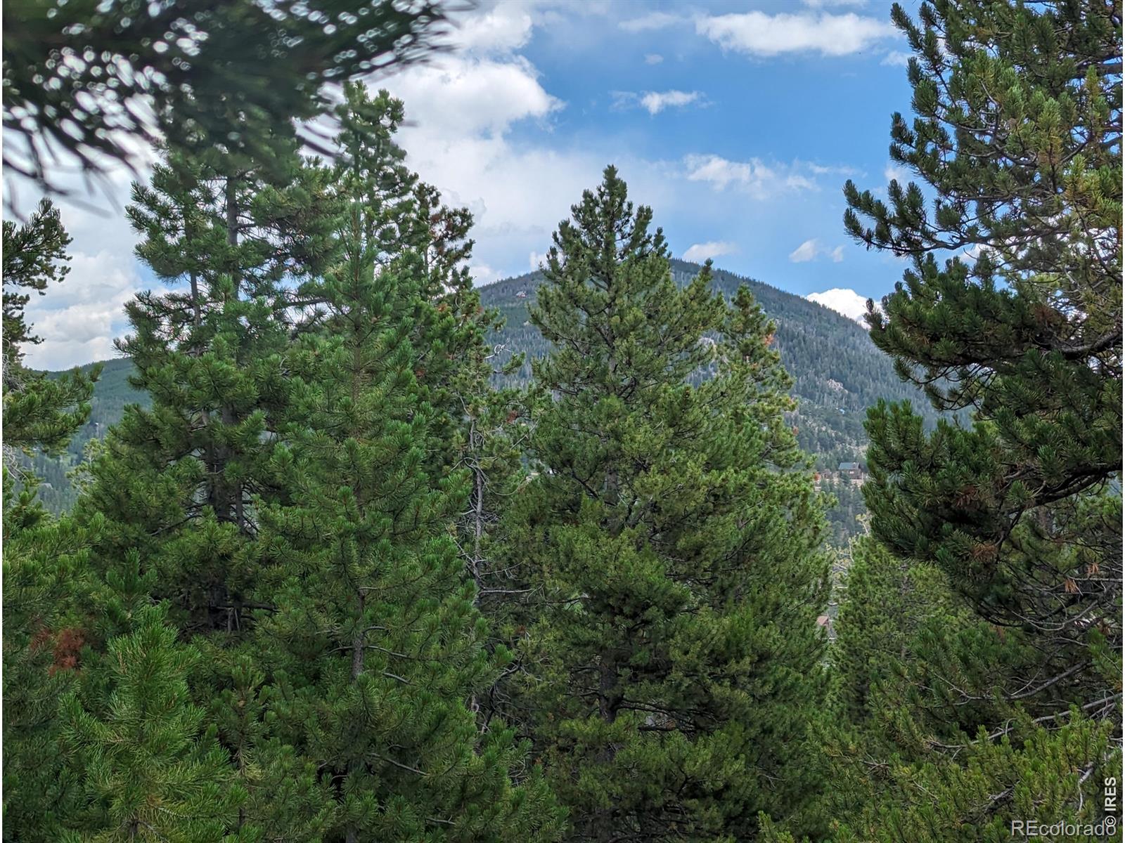 90 Quapaw Court Red Feather Lakes CO 80545