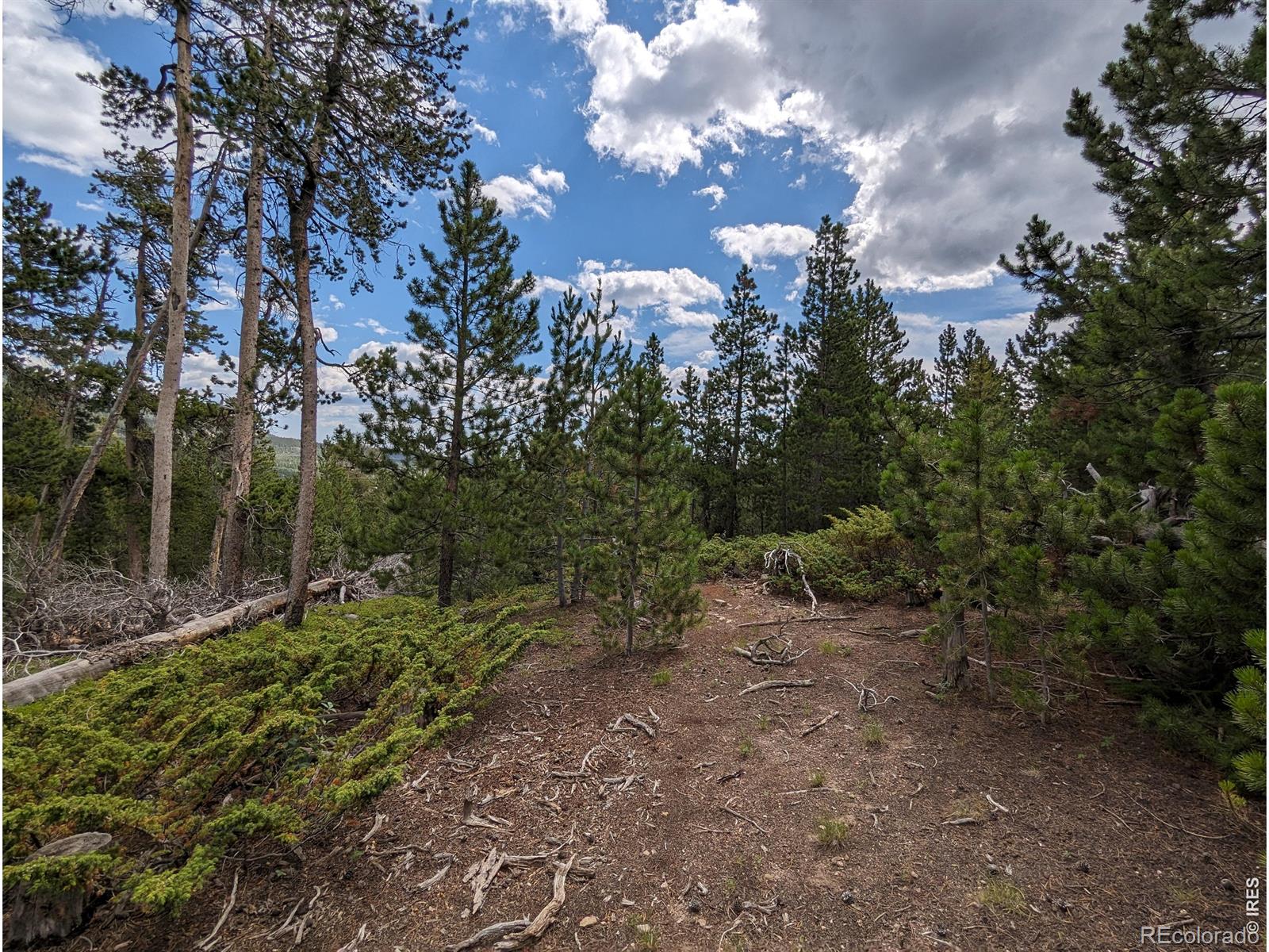 90 Quapaw Court Red Feather Lakes CO 80545