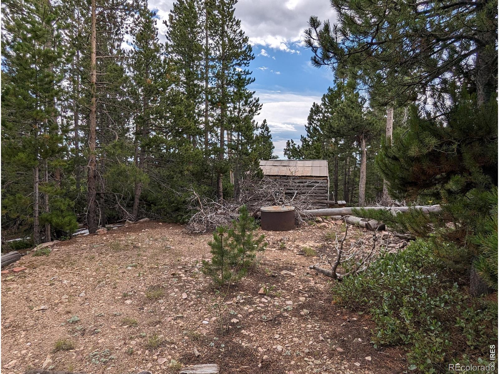 90 Quapaw Court Red Feather Lakes CO 80545
