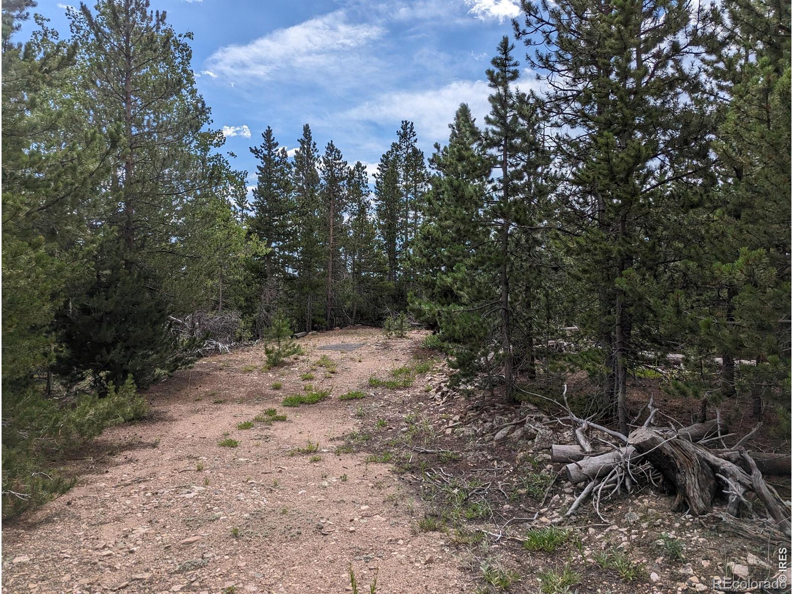 90 Quapaw Court Red Feather Lakes CO 80545