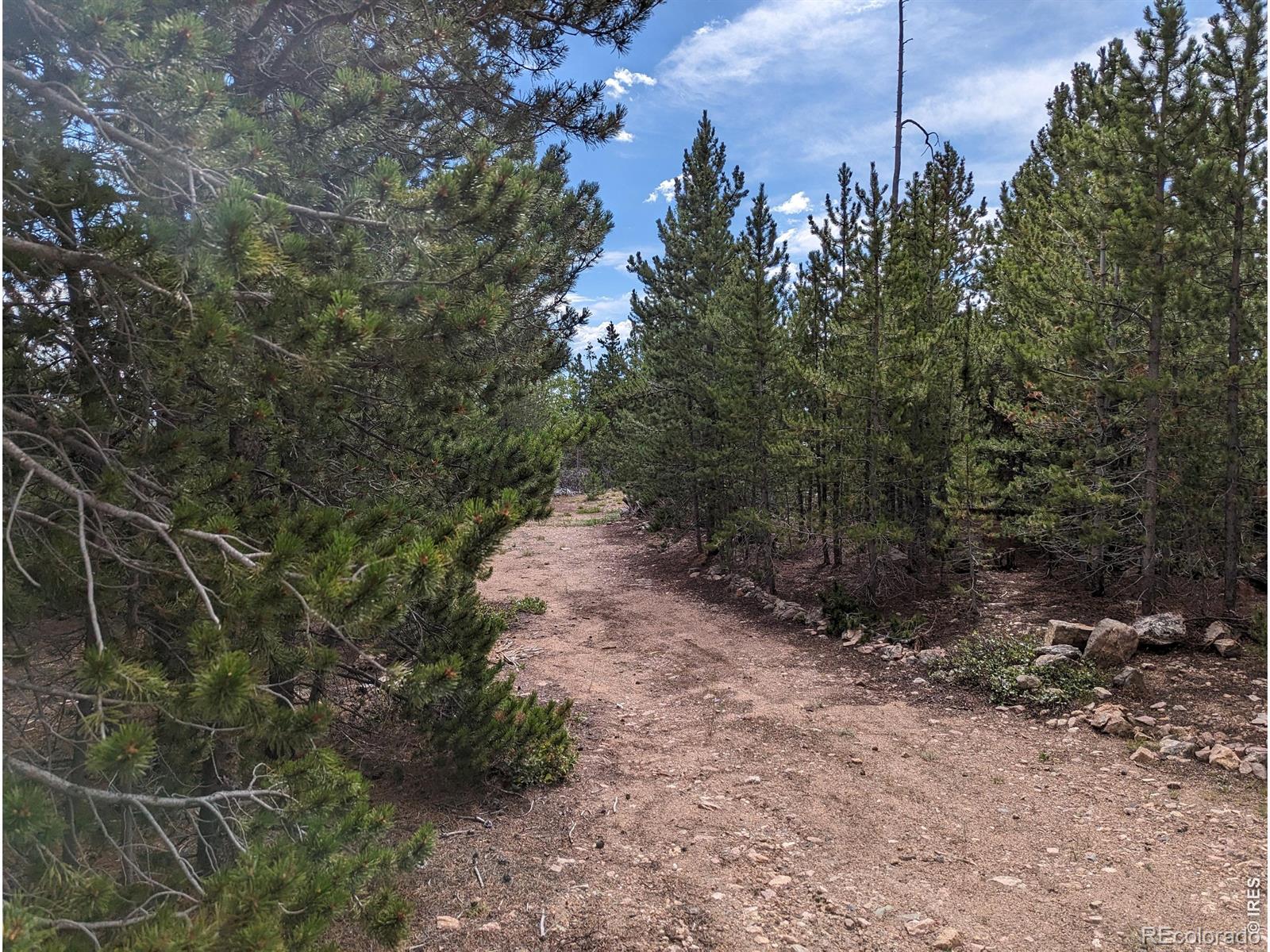 90 Quapaw Court Red Feather Lakes CO 80545