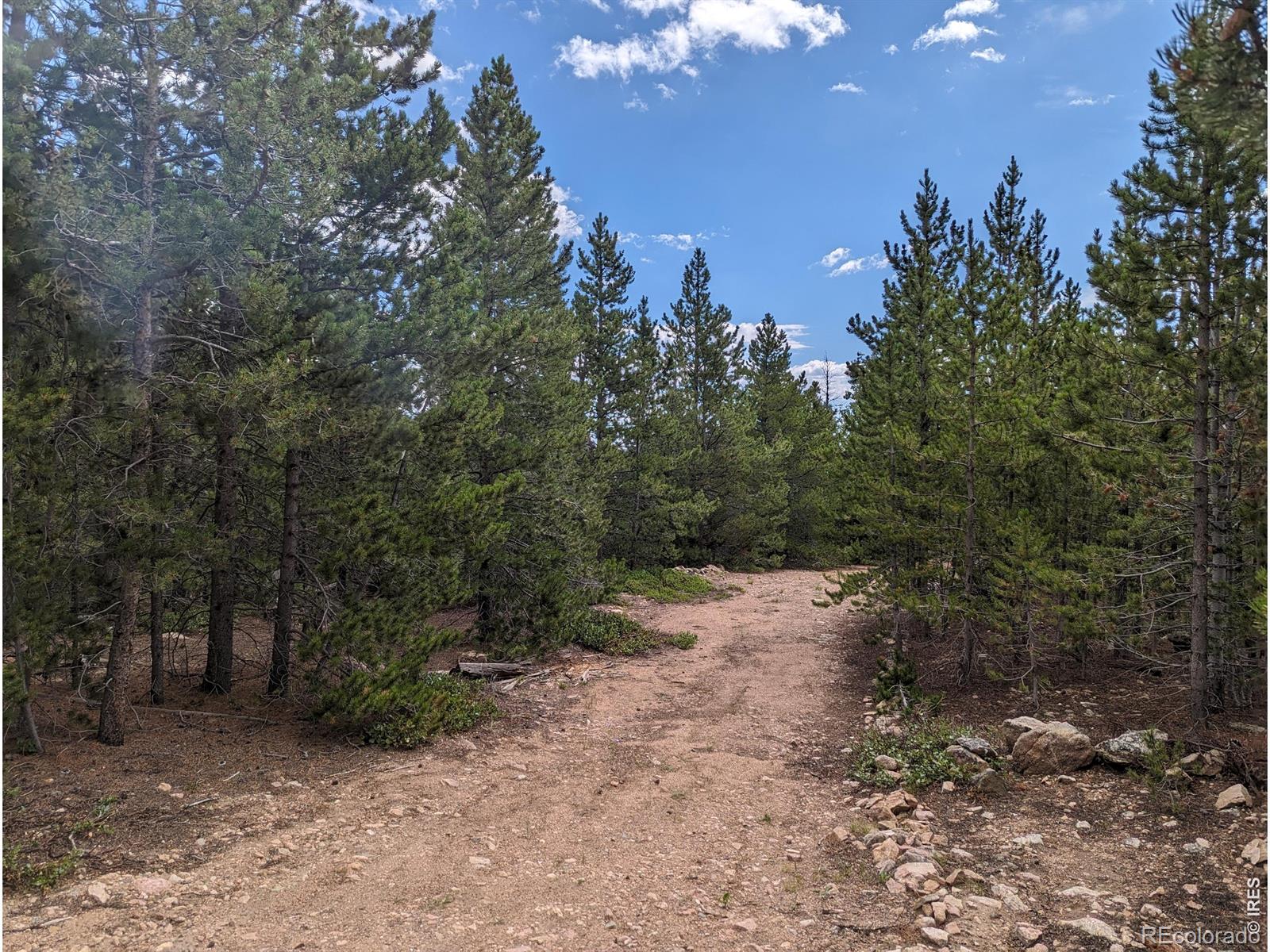 90 Quapaw Court Red Feather Lakes CO 80545