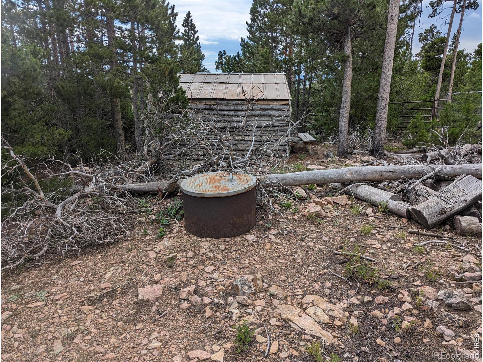 90 Quapaw Court Red Feather Lakes CO 80545