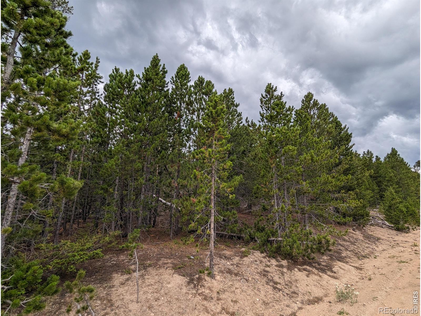 90 Quapaw Court Red Feather Lakes CO 80545
