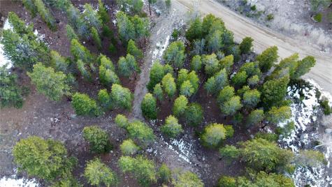 30366 Aspen Turn Buena Vista CO 81211