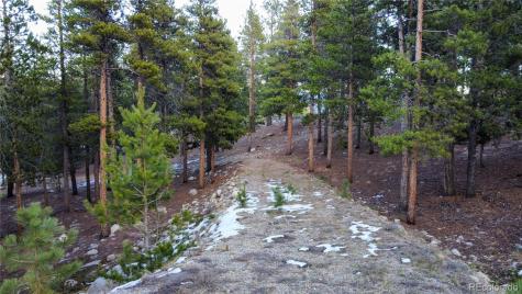 30366 Aspen Turn Buena Vista CO 81211