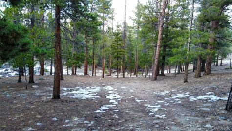 30366 Aspen Turn Buena Vista CO 81211