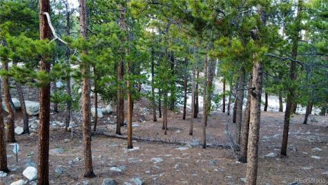 30366 Aspen Turn Buena Vista CO 81211