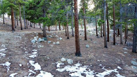 30366 Aspen Turn Buena Vista CO 81211