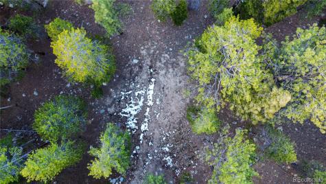 30366 Aspen Turn Buena Vista CO 81211