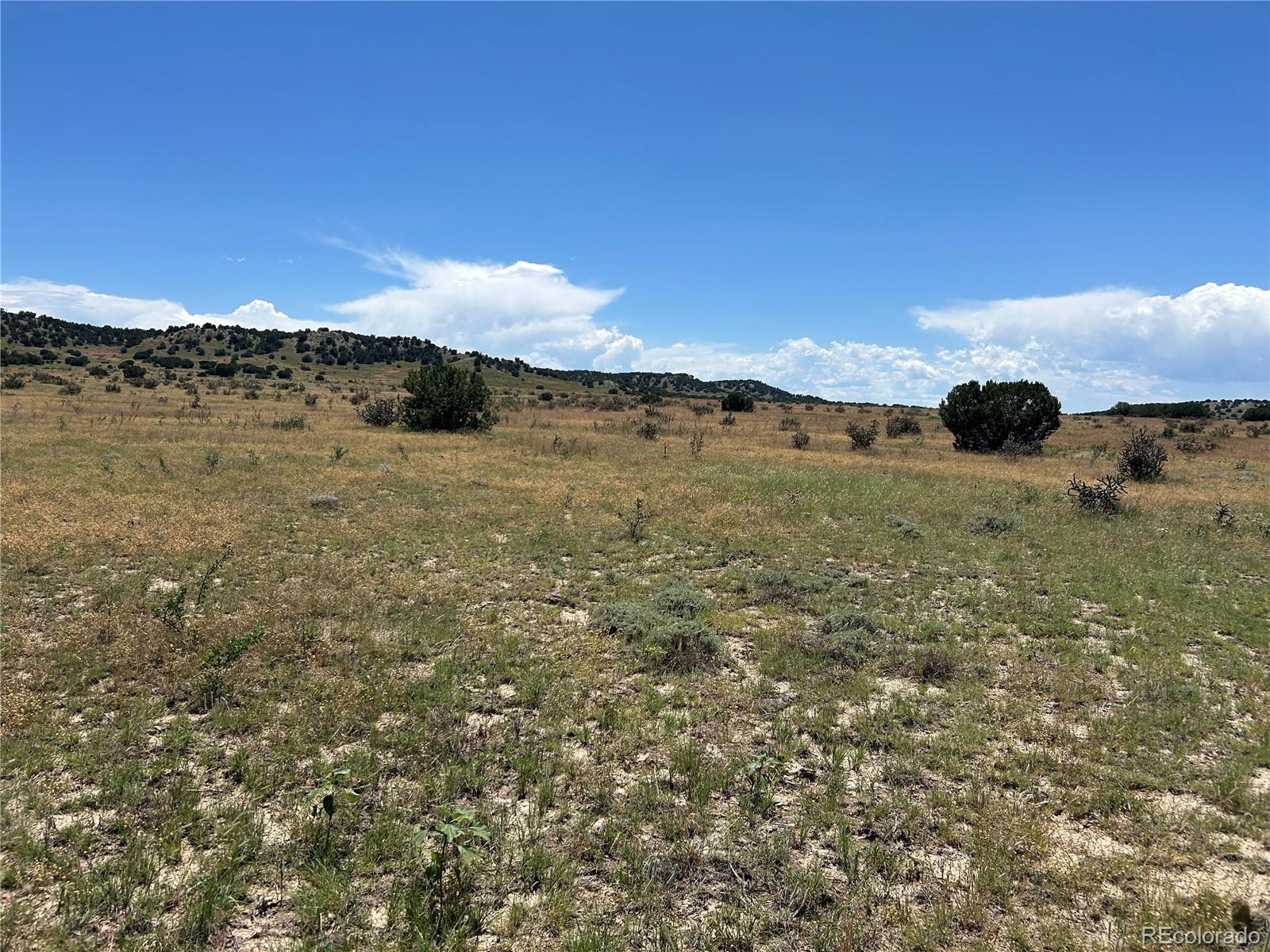 Lot 17 Longhorn Ranch Model CO 81059
