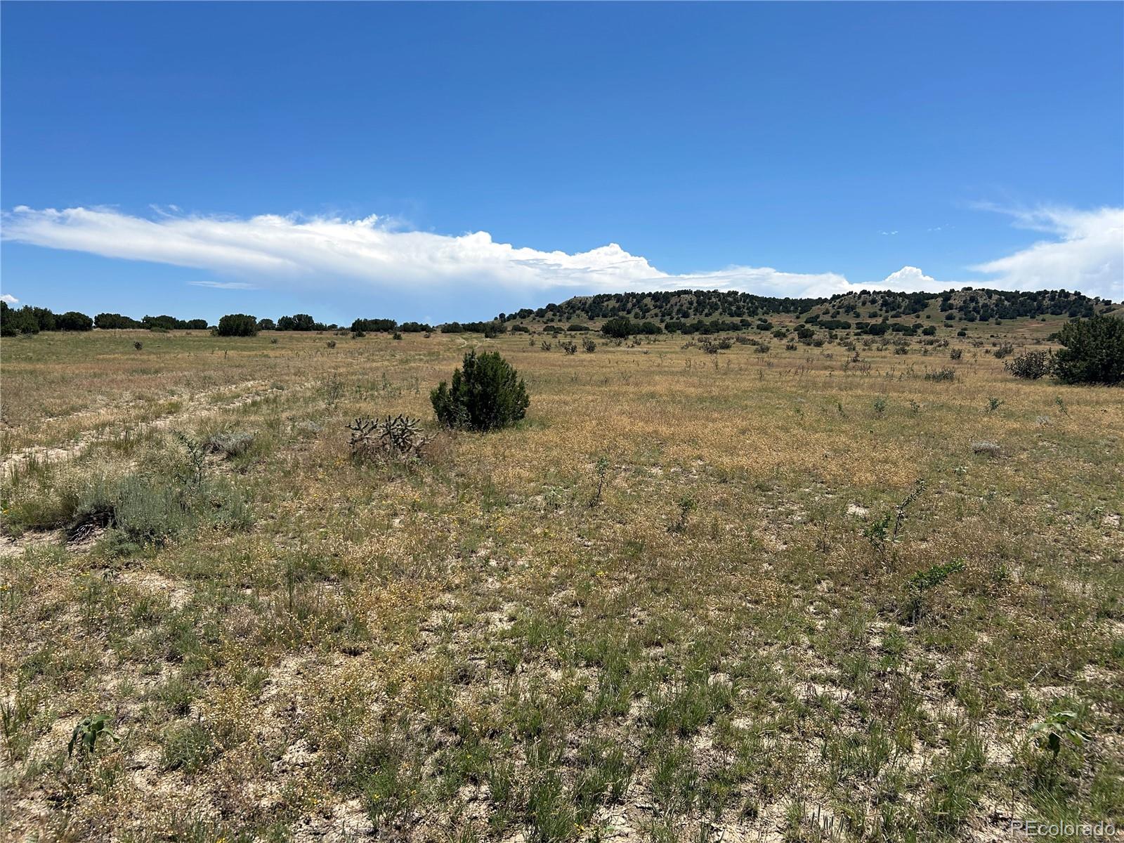 Lot 17 Longhorn Ranch Model CO 81059