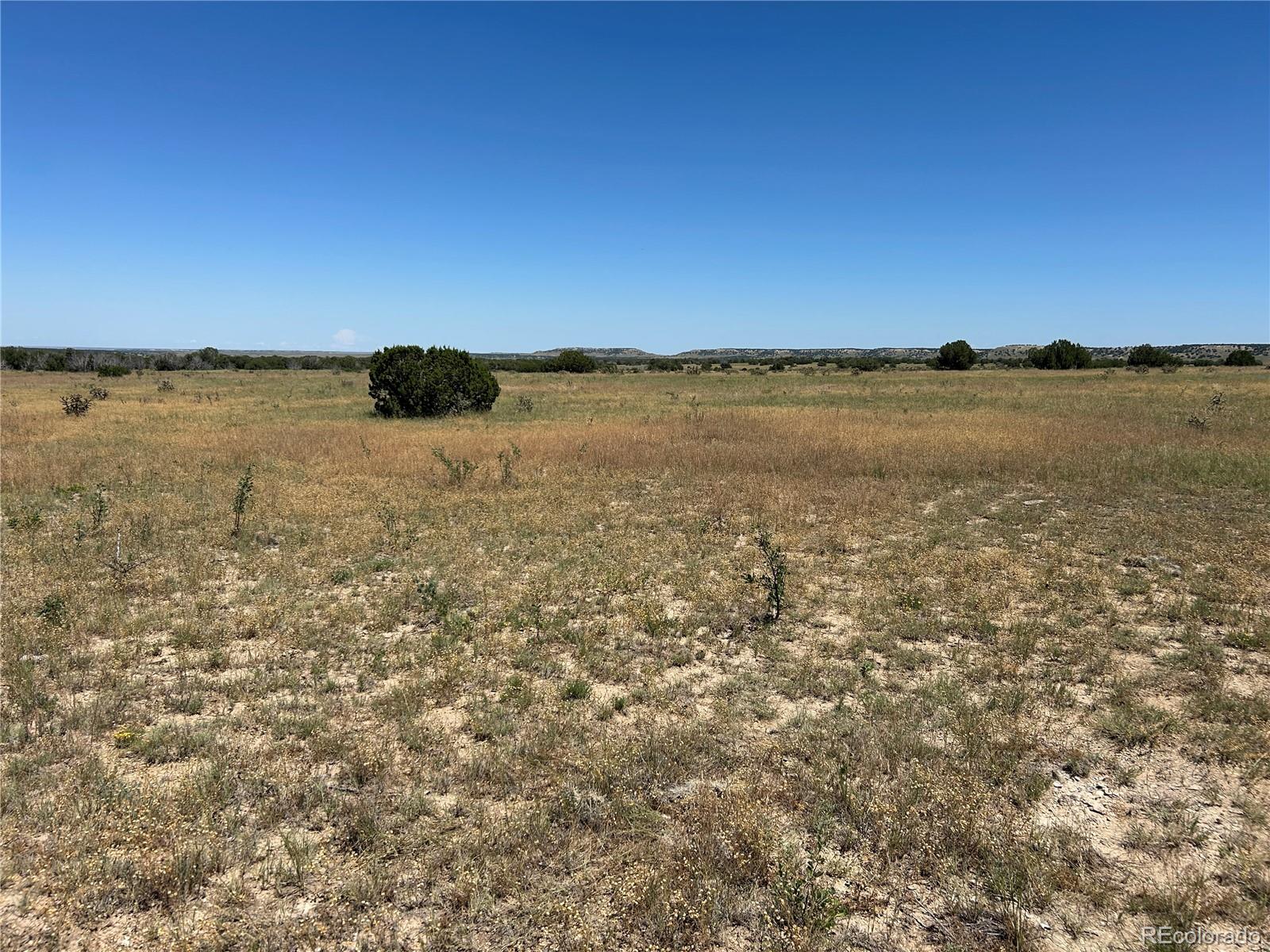 Lot 17 Longhorn Ranch Model CO 81059