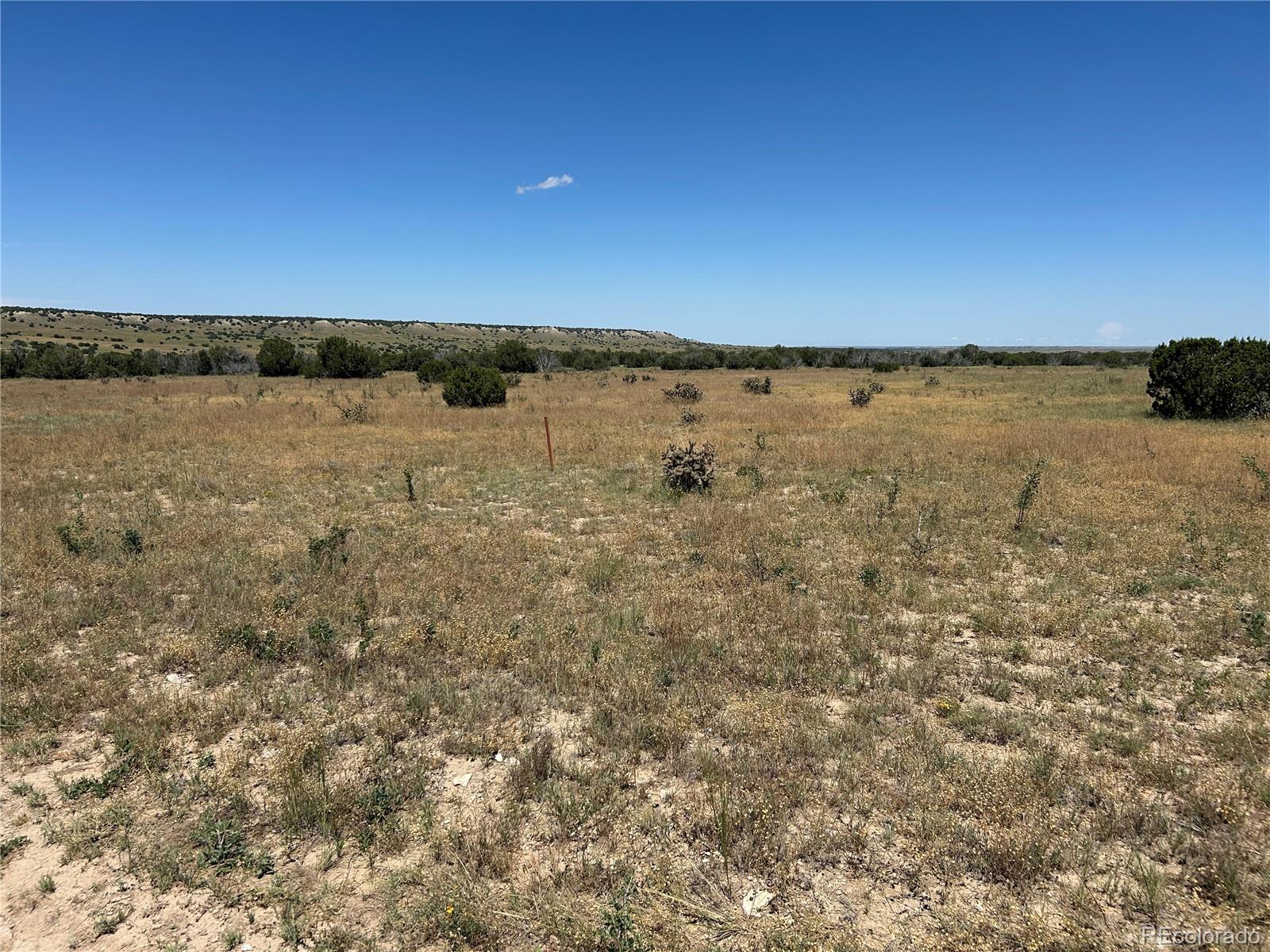 Lot 17 Longhorn Ranch Model CO 81059