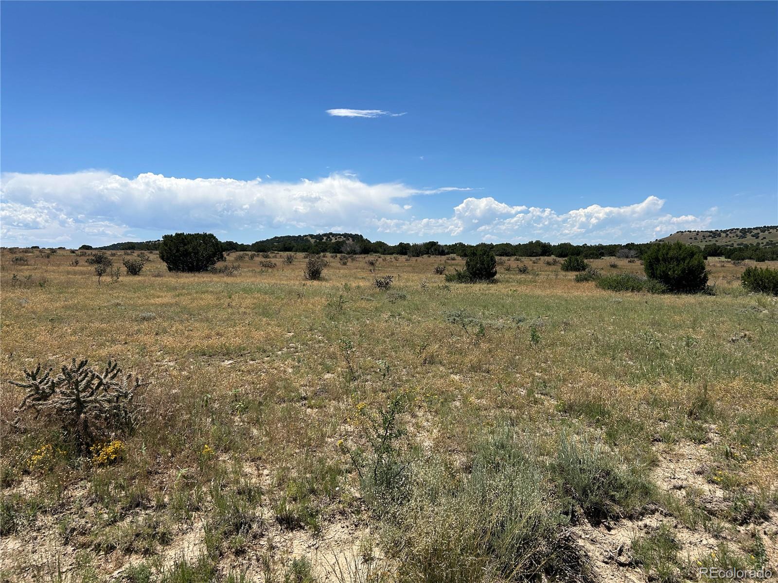 Lot 17 Longhorn Ranch Model CO 81059