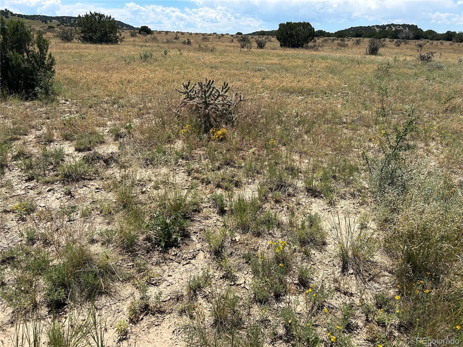 Lot 17 Longhorn Ranch Model CO 81059