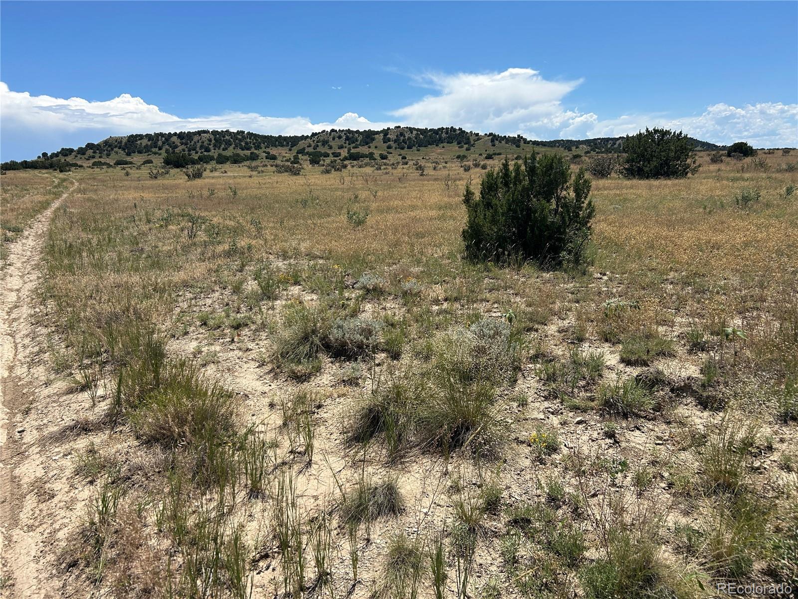 Lot 17 Longhorn Ranch Model CO 81059