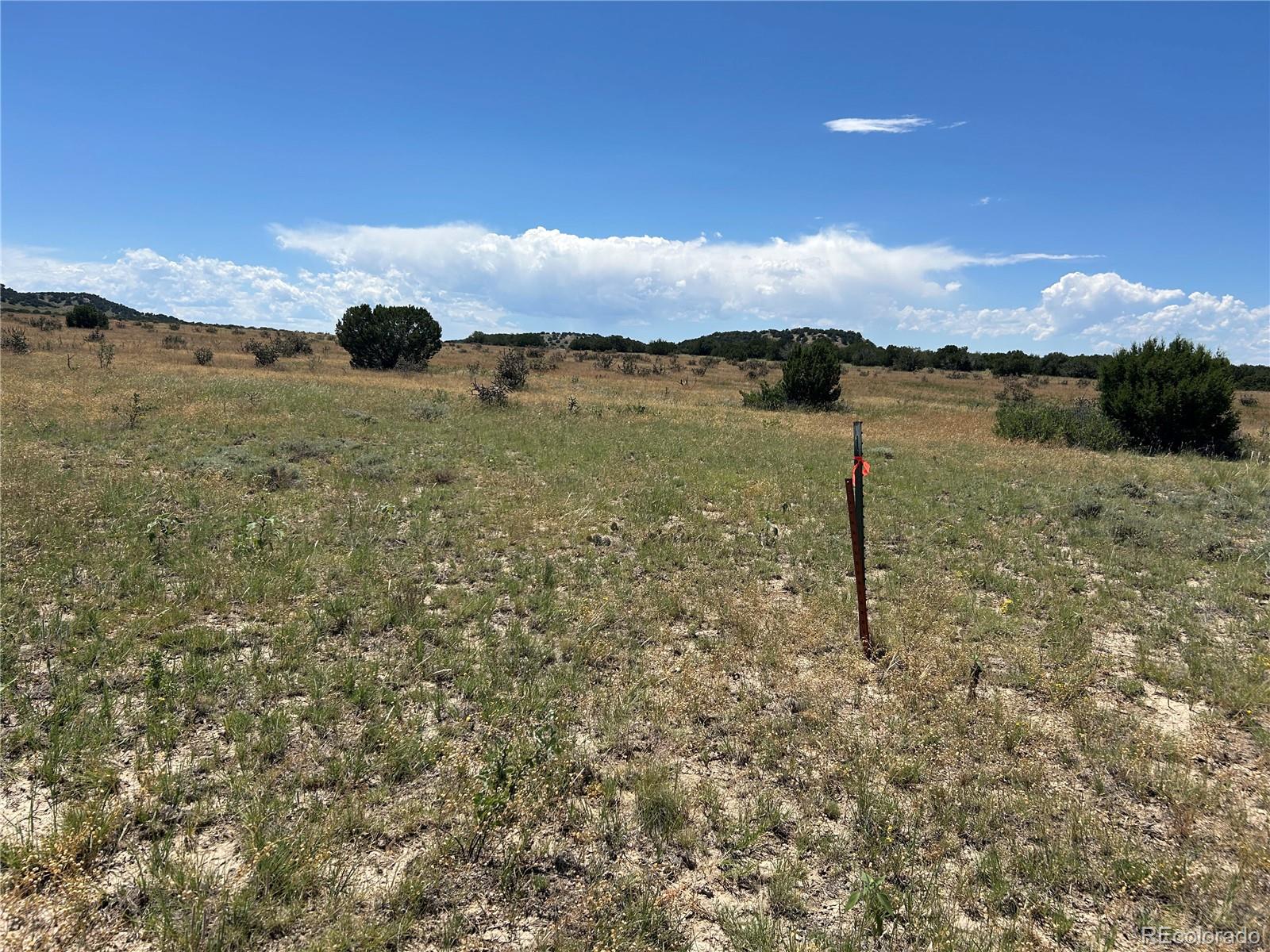 Lot 17 Longhorn Ranch Model CO 81059