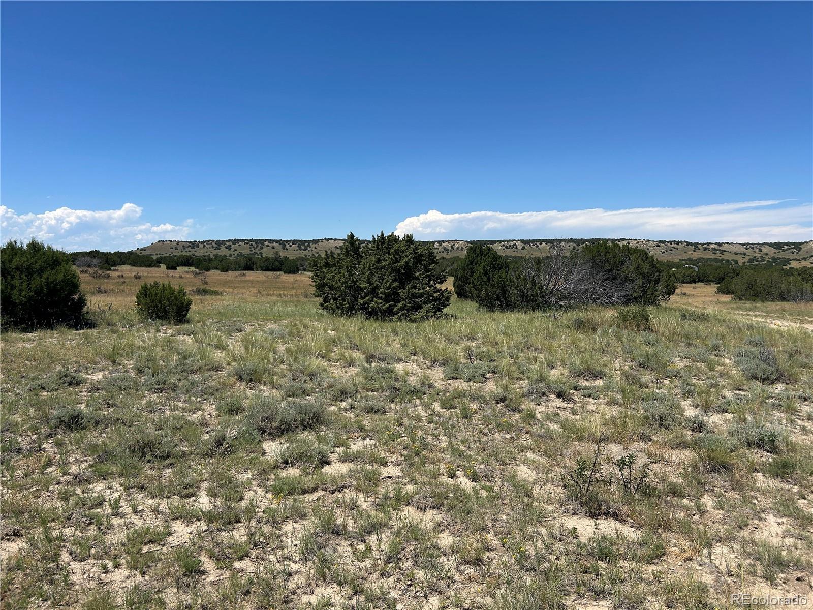 Lot 17 Longhorn Ranch Model CO 81059