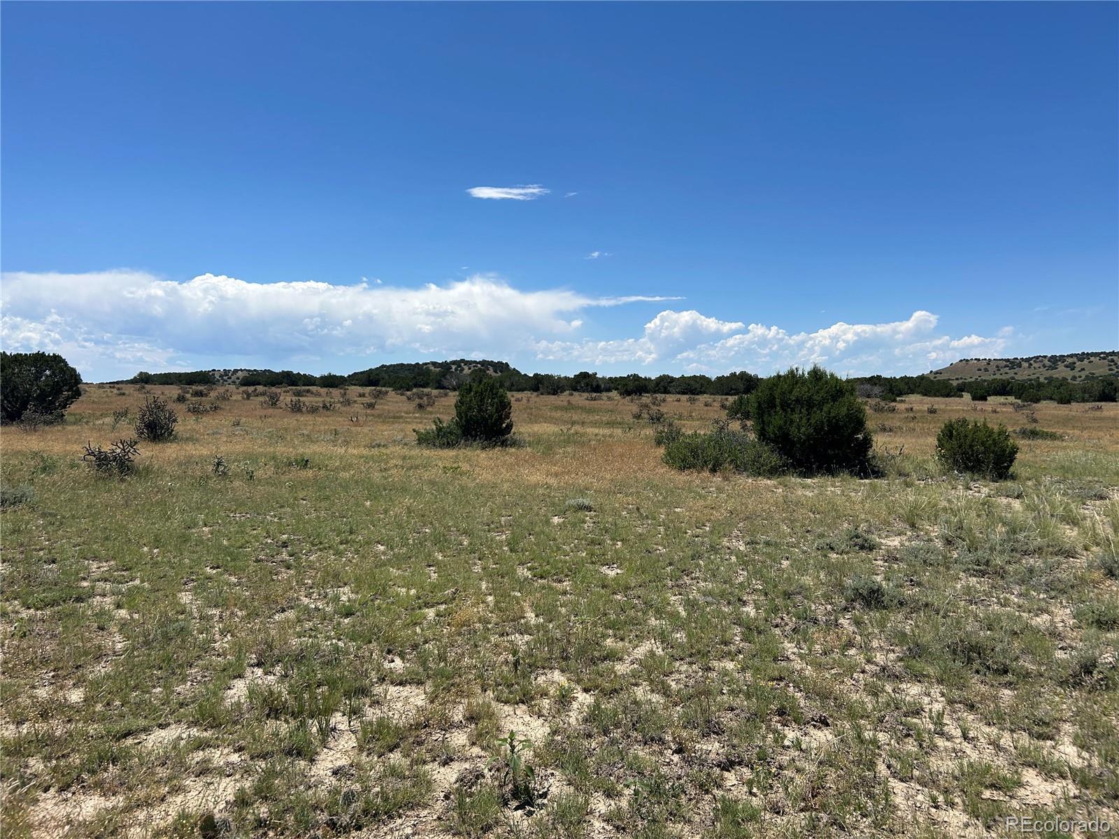 Lot 17 Longhorn Ranch Model CO 81059