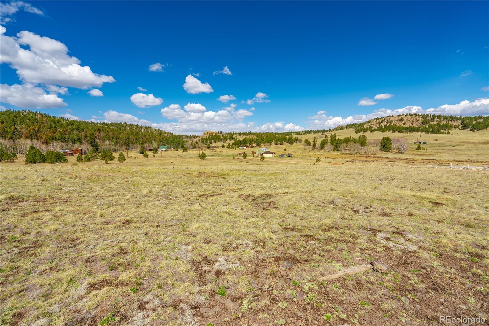 1265 County Road 403 Florissant CO 80816