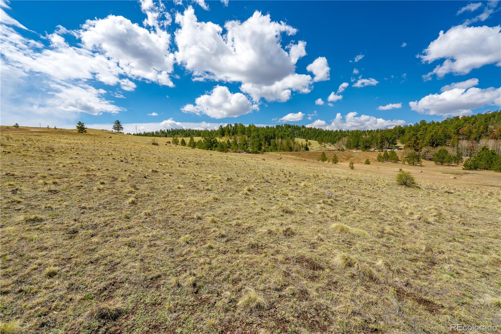 1265 County Road 403 Florissant CO 80816