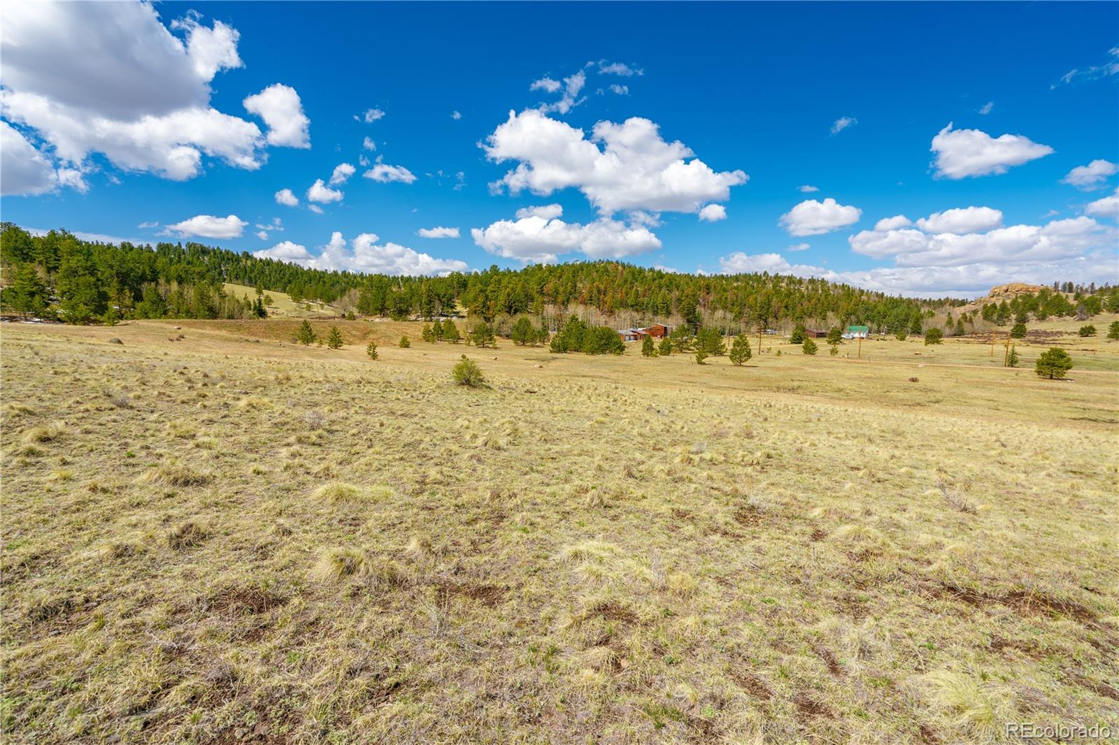 1265 County Road 403 Florissant CO 80816