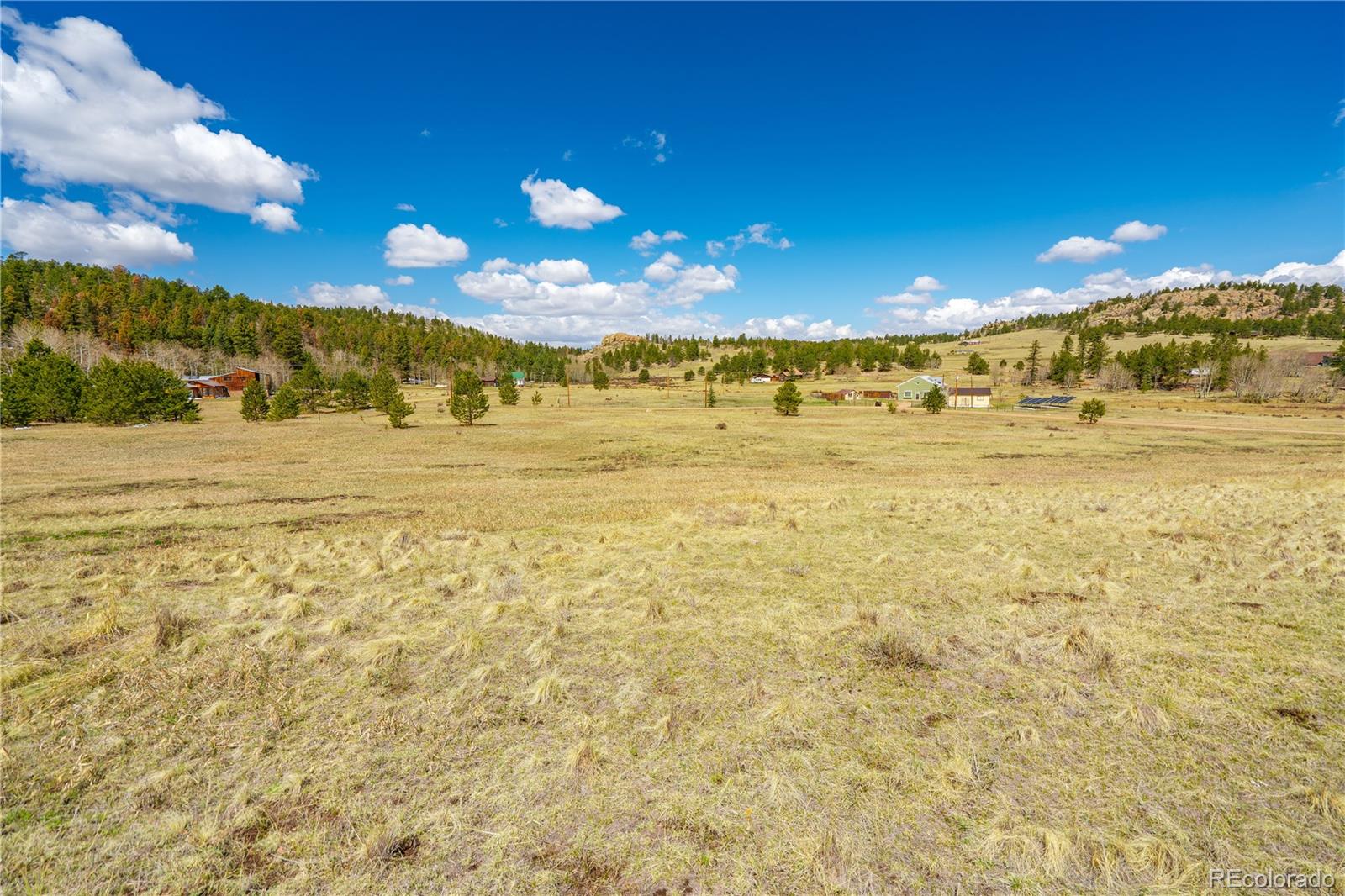 1265 County Road 403 Florissant CO 80816